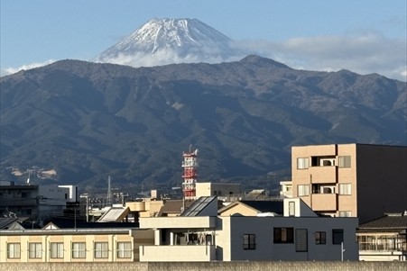 これまでの経歴