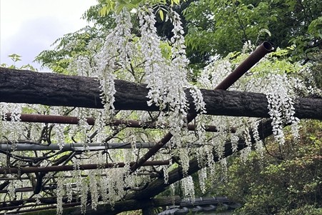 生きづらいと感じてきた私だからこそ、力になれる人が居るはず